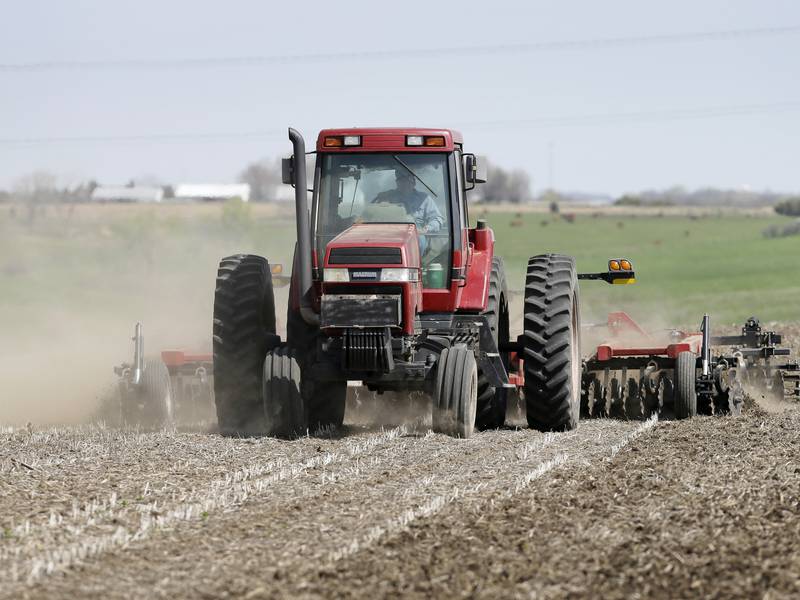 Farmers expect less corn, more soybean acres