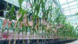Beck’s expands research network