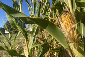 Illinois crop progress for week ending Sept. 7