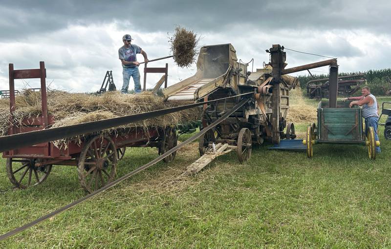 A volunteer uses a pitchfork to toss a sheaf of wheat into a threshing machine at the Bos Bros Fall Harvest.