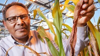 Purdue appoints department heads for entomology, botany and plant pathology