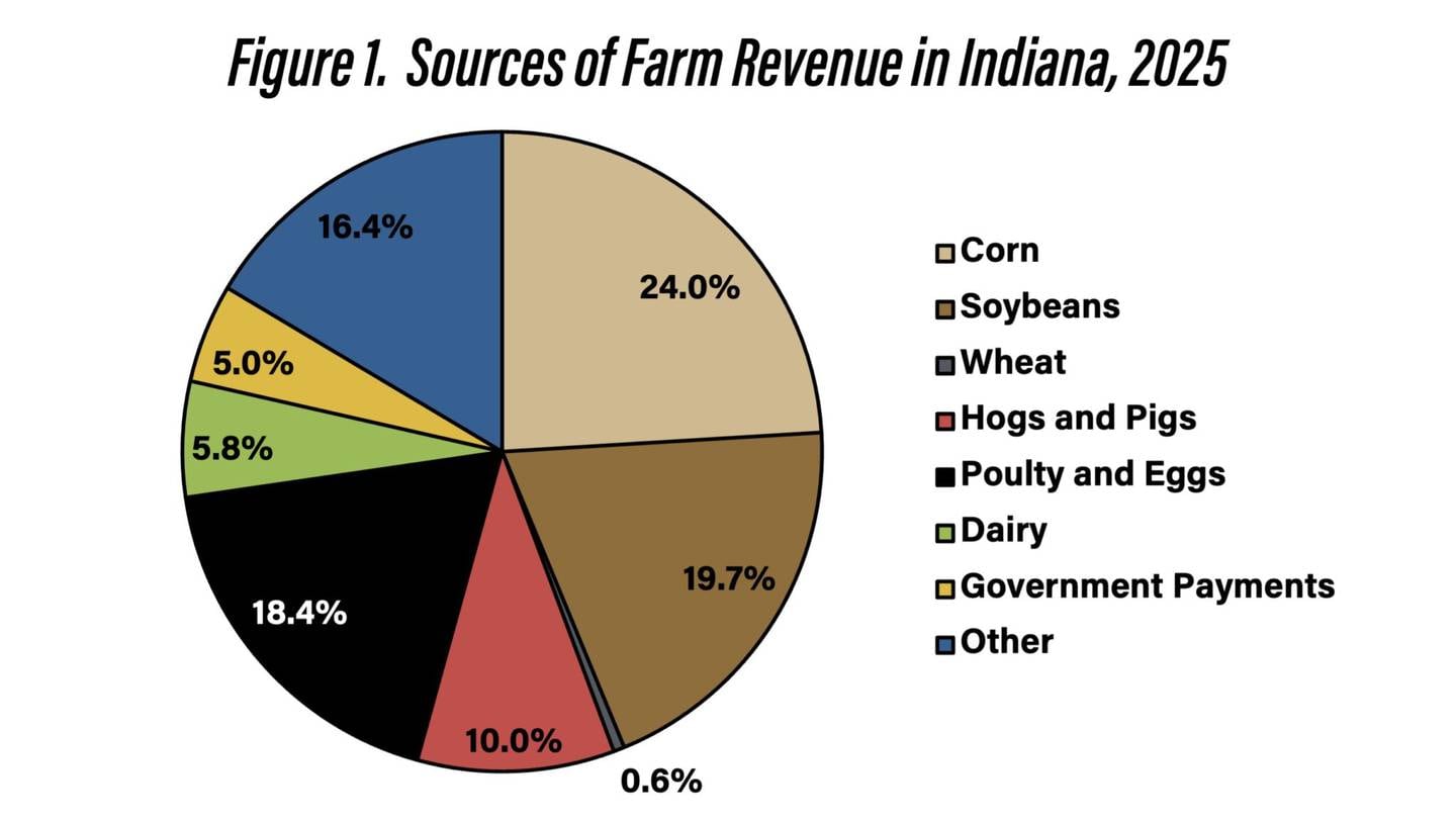 Corn, soybeans and wheat are projected to account for approximately 45% of total revenue. Hogs and pigs, poultry and eggs, and dairy are expected to account for another 34% of total revenue. Though expected to be much higher in 2025 than they were in 2024, government payments still accounted for only 5% of total revenue in 2025.