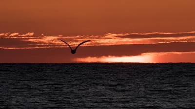 From loss to resilience: Advice for how to manage grief