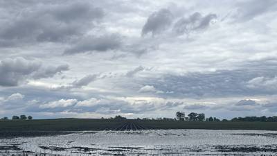 USDA-certified wetland review needed before altering drainage