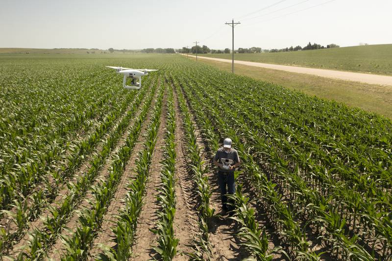 Drones are used to monitor crop stands, scout for pests and disease, and more.