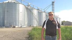 Loop grain system keeps trucks moving