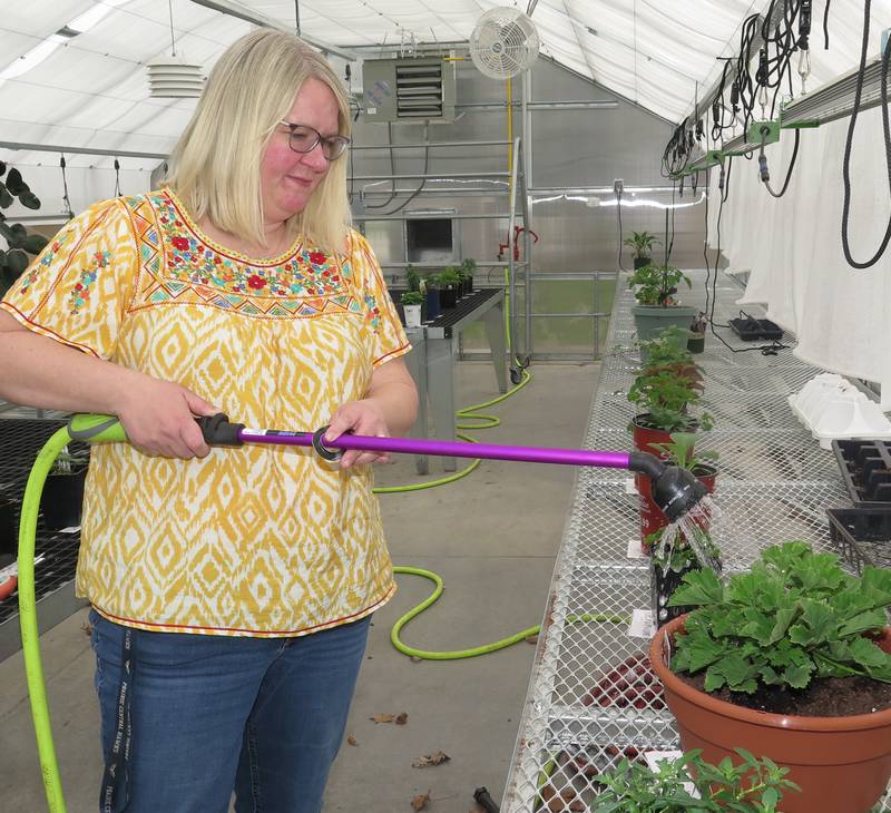 Becky Freed tends to plants in Prairie Central High School's greenhouse that's part of the new Agriculture/Industrial Technology addition that opened at the beginning of the current school year.