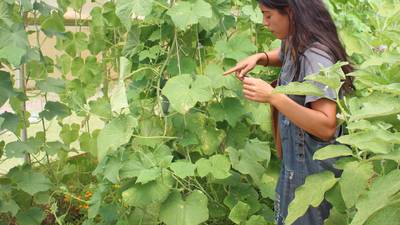 Apprenticeship sparks career for first-generation farmer