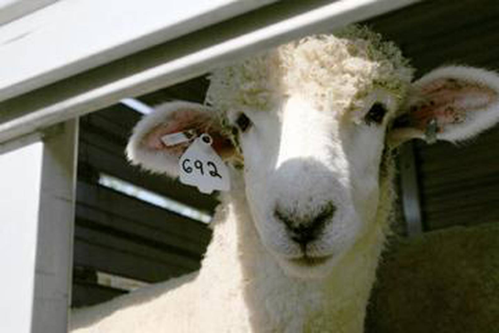 2023 Indiana county fair schedule AgriNews