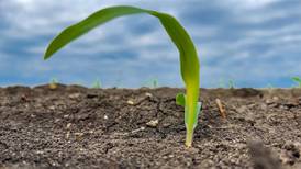 Middle East blockage impacts global fertilizer supplies