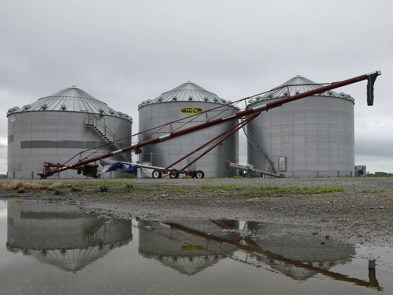 Stored crops up from year ago