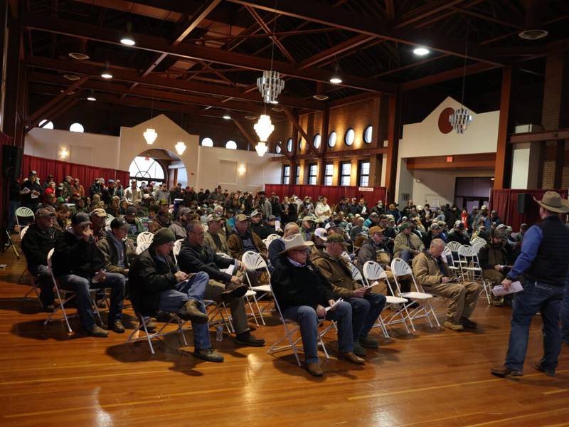 2026 Illinois Performance Tested Bull Sale returns record-high results