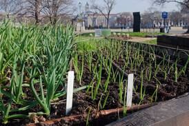 April gardening checklist