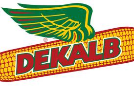 DEKALB and Asgrow seed brands offer 43 new products for 2026