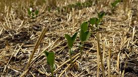 Southern Illinois farmers needed for ISA double-crop research