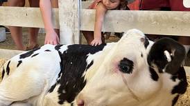 Illinois State Fair announces ‘Adventure Awaits’