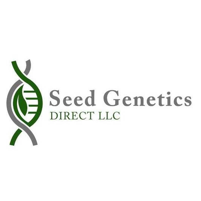 Seed Genetics Direct
