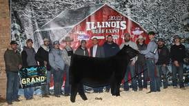 Spencer, Dorsey exhibit grand champion heifers at Illinois Beef Expo
