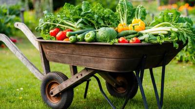 Higher grocery prices hit shelves