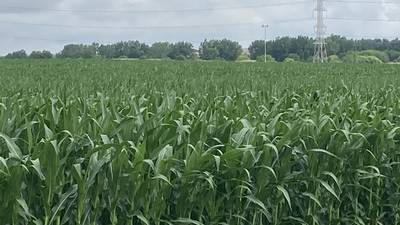 Indiana crop progress for week ending July 6