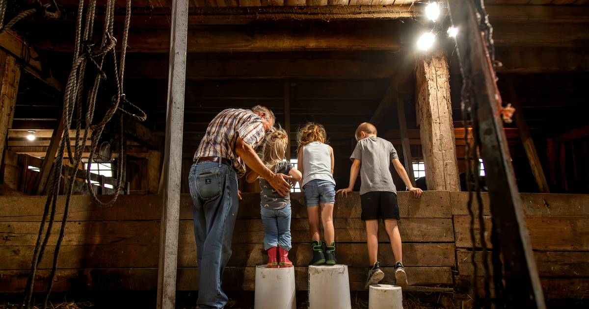 Capturing life on the farm: Indiana Farm Bureau Photo Contest winners named