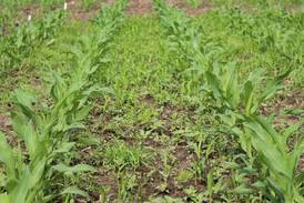Gain an early season edge for success at harvest