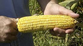 Small adjustments in ‘I’ state yield estimates