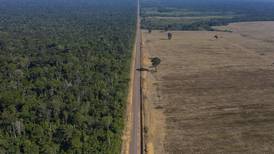 What Brazil’s soy moratorium fight means — and what happens next