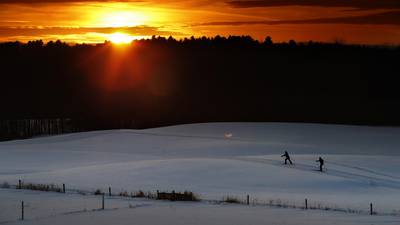 From gloom to bloom: Beat the winter blues