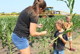 From the Fields: Break in the heat