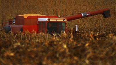 Balance sheets reflect increased harvested acres