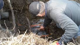 Extension Notebook: Repairing, maintaining farm tile systems