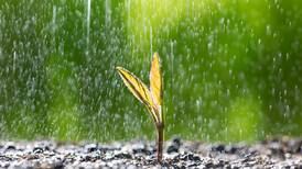 Syngenta Seedcare launches Victrato