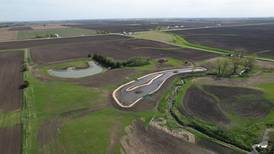 River Days of Action tour visits wetland