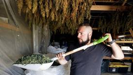 Firm focuses on hemp transportation protocols