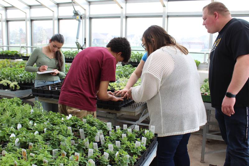 Dakota Cowger (far right) and Abby Cowger work with students in the greenhouse to transplant seedlings. Two horticulture classes are offered at the school, and the plants growing in the greenhouse will be sold May 8-10 during a plant sale.