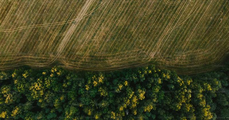 The Purdue Farmland Values and Cash Rents Survey is conducted out of Purdue University’s Department of Agricultural Economics and produced in cooperation with numerous professionals knowledgeable about Indiana’s farmland market.
