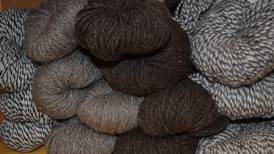 Wool products to be featured at State Fair