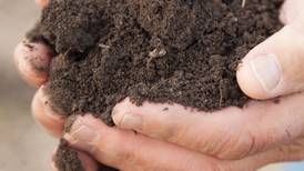 Rooted in healthy soil: Conservation practices deliver economic rewards