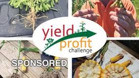 Pro Soil Below Ground Management Program Leads to Above Ground Profits