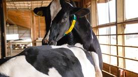 Changing the reproduction game with animal monitoring systems