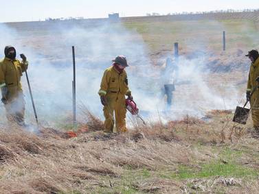 Prescribed burn rejuvenates native species