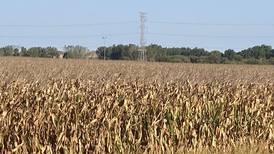 Indiana crop progress for week ending Sept. 28
