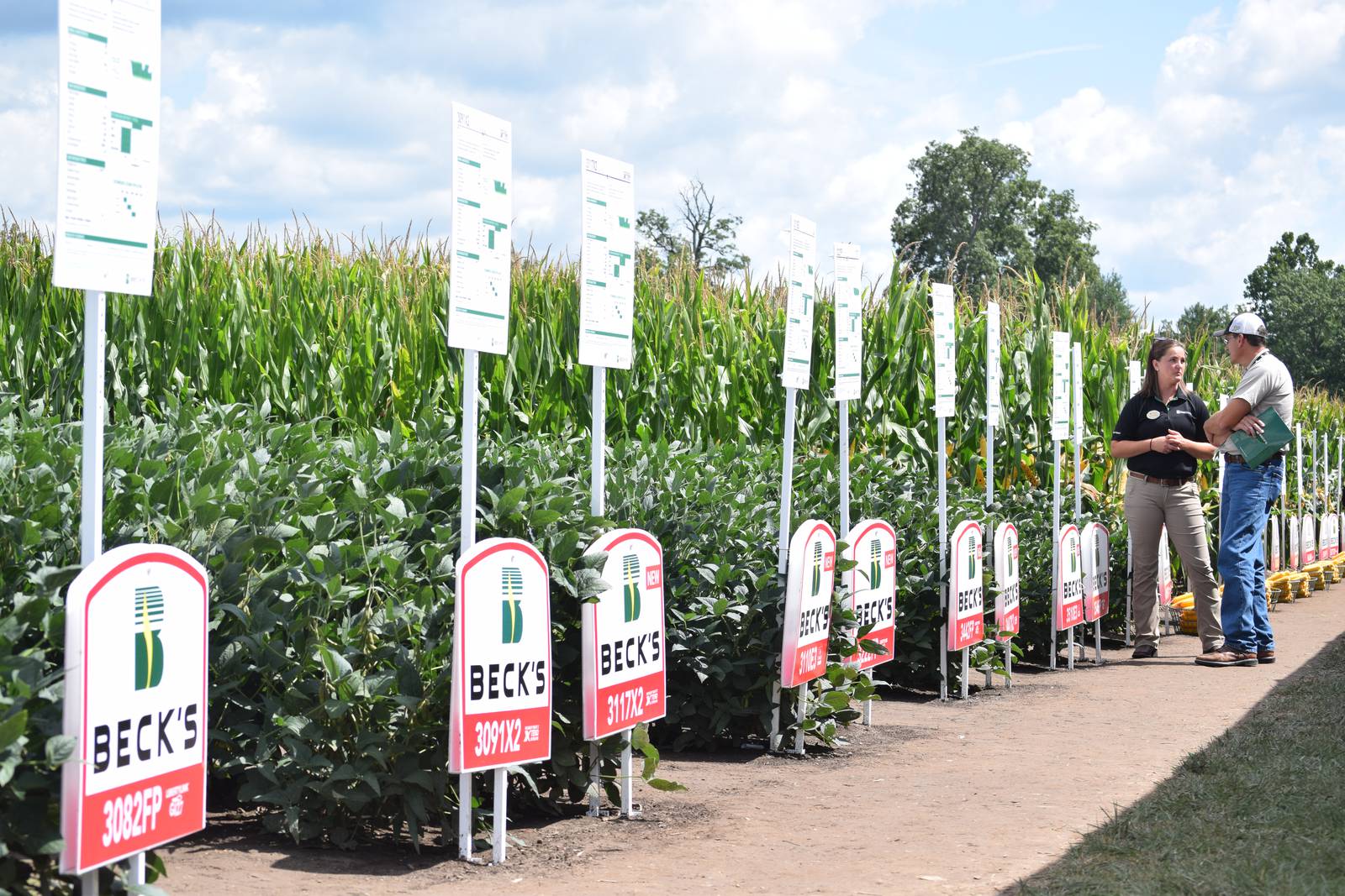 Prepare for postherbicide applications AgriNews