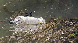 New research shows a quarter of freshwater animals are threatened with extinction