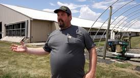 Adding fans in freestall barns improves environment for cows