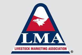 Livestock Marketing Association opens applications for 2026 scholarships