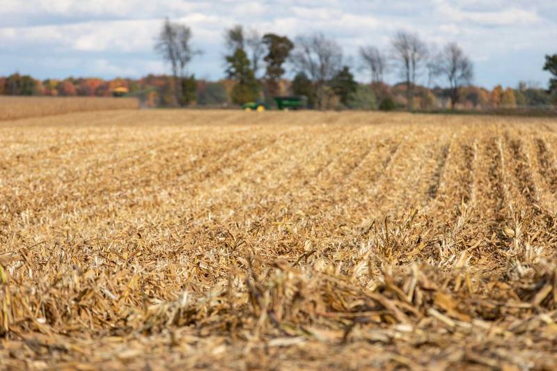 Fertilizer plays a key role in crop production, accounting for nearly a quarter of corn’s production cost.