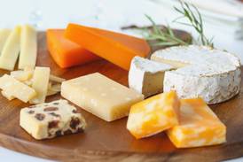 Say cheese this holiday season