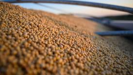 Purdue study shows soybean oil for biofuels has limited impact on overall food prices